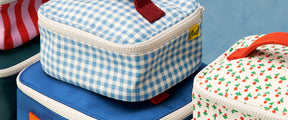 Mini Zip Cube - Gingham Sky